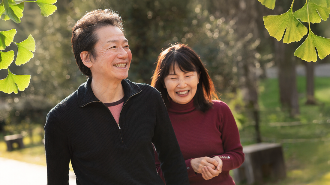 Unlocking the Potential of the Ginkgo Biloba Extract for Adults 50 Years Old and Above: A Comprehensive Guide