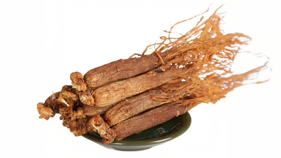 Unlocking the Potential of the Red Ginseng Extract: A Comprehensive Guide