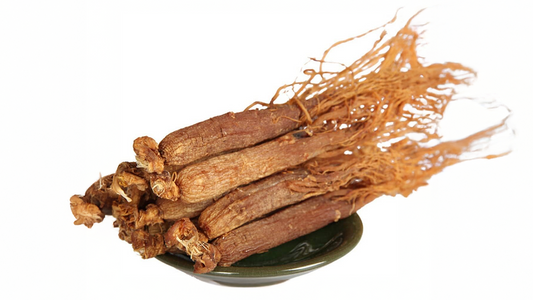Unlocking the Potential of the Red Ginseng Extract: A Comprehensive Guide