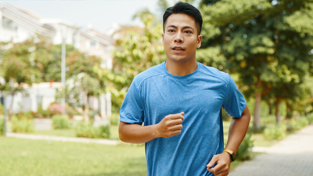 Enhancing Cognitive Function in the Prime of Your Career: The Role of Ginkgo Biloba Extract for 30-50 Year Olds