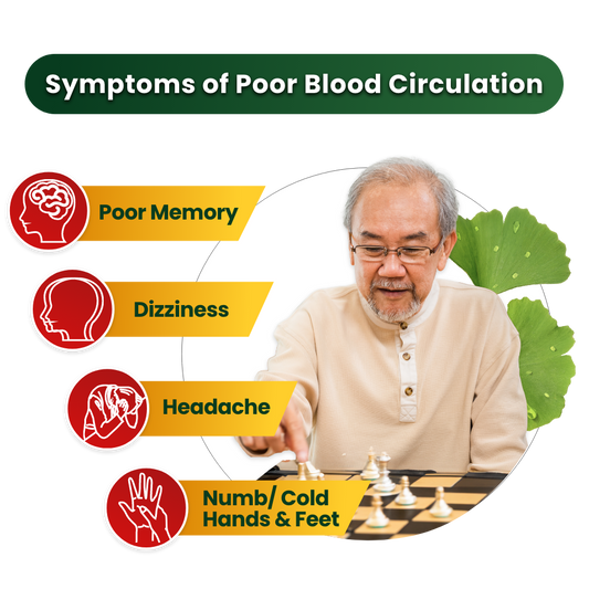 Activated Ginkgo Extract - Brain Health and Blood Circulation