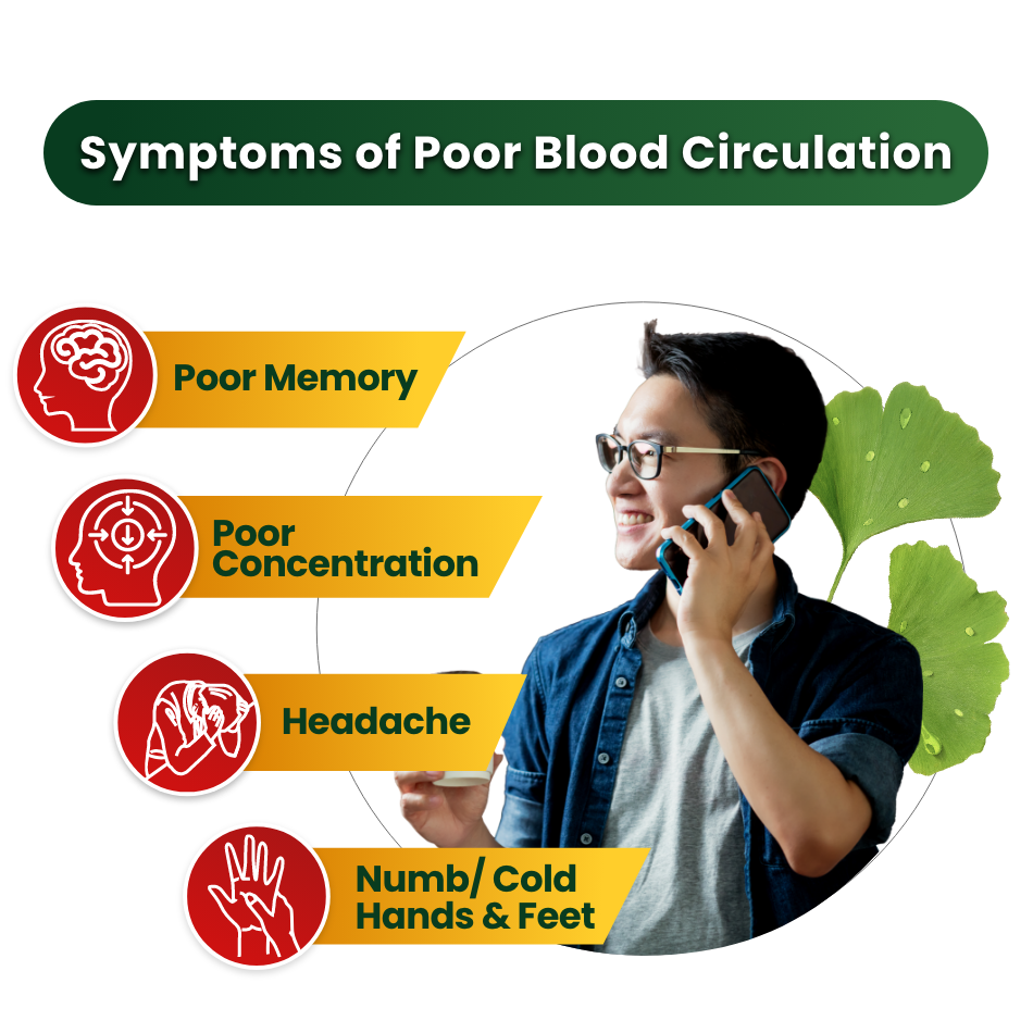 Circulon 125 - Brain Health & Blood Circulation