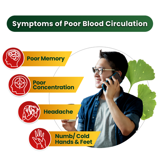 Circulon 125 - Brain Health & Blood Circulation