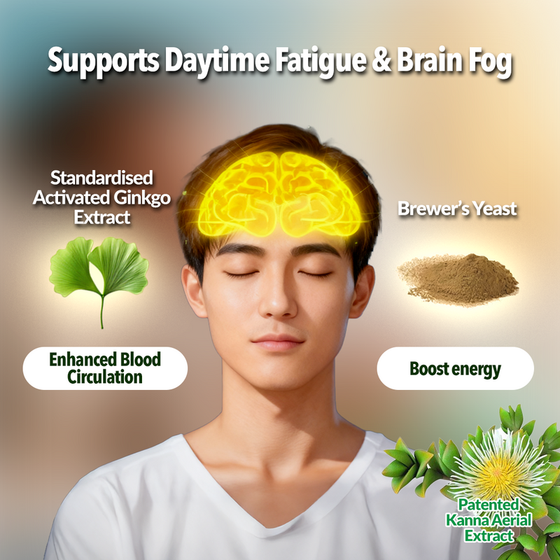 Daytime Fatigue/ Brain Fog