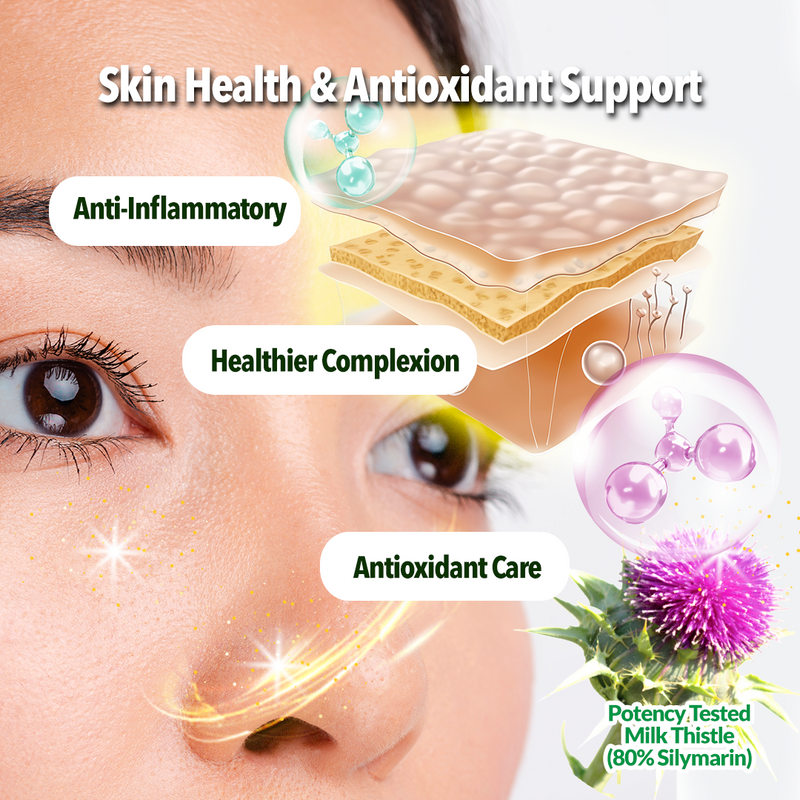 Skin health benefits with high potentcy milk thistle supporting anti-inflammatory, healthier complexion, and antioxidant care.