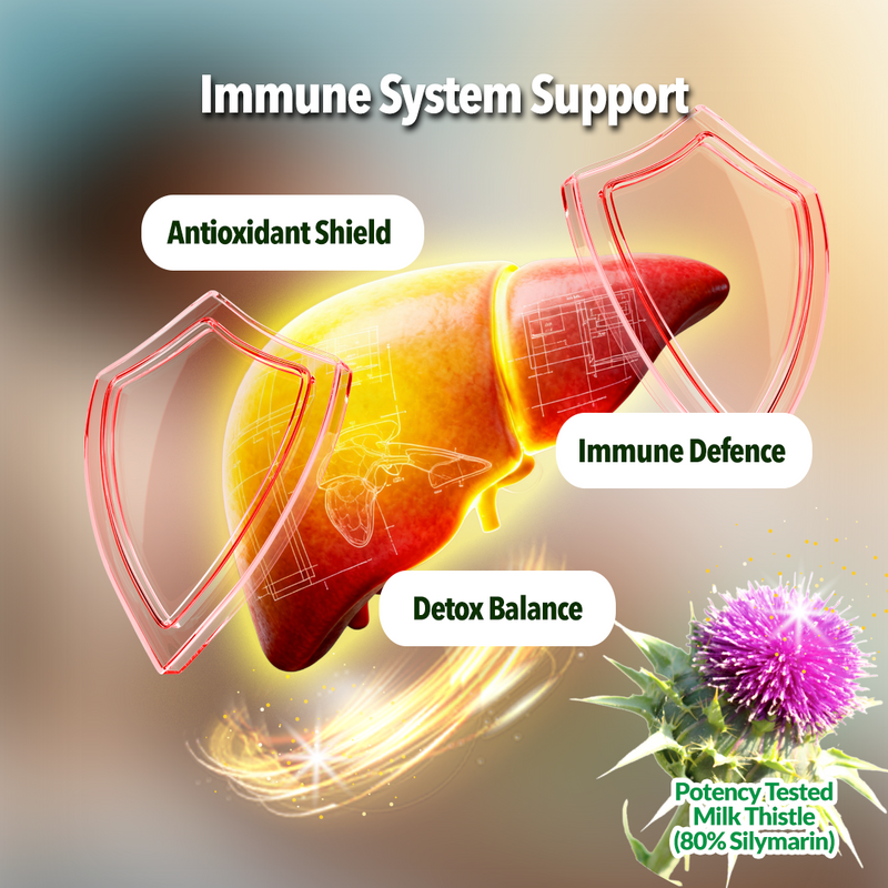 Liver with protective shields labeled 'Antioxidant Shield', 'Immune Defence', and 'Detox Balance'. Milk thistle plant is also shown to help liver.